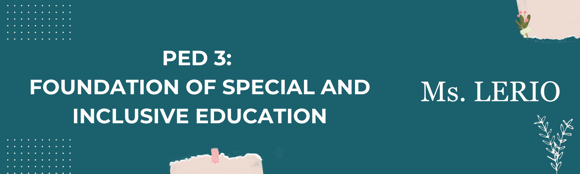 P.Ed 3 - Foundation of Special and Inclusive Education