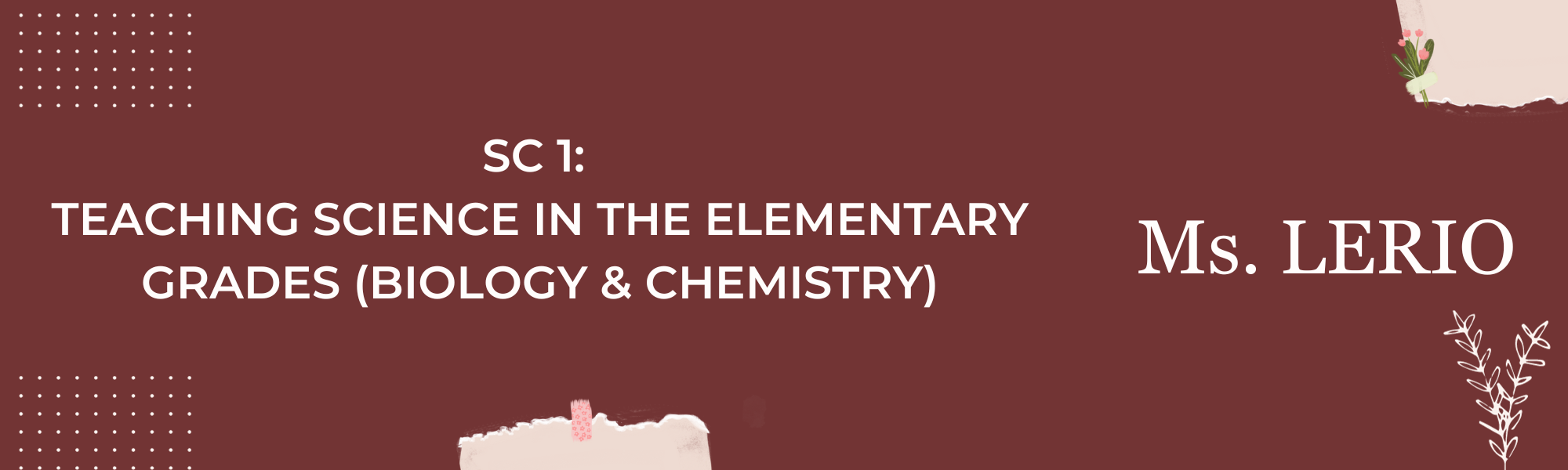 SC 1 - TEACHING SCIENCE IN ELEM. GRADES (BIOLOGY AND CHEMISTRY) 